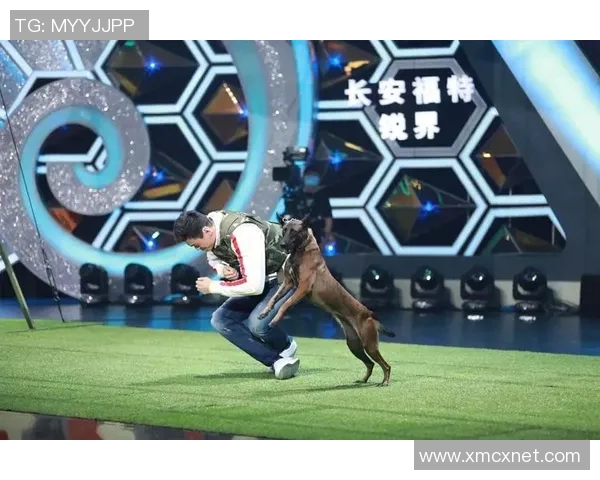 狗哥领衔新一代足坛巨星崛起 跨越历史与荣耀成就传奇 狗哥领衔新一代足坛巨星崛起 跨越历史与荣耀成就传奇