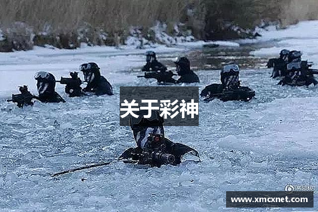 关于彩神